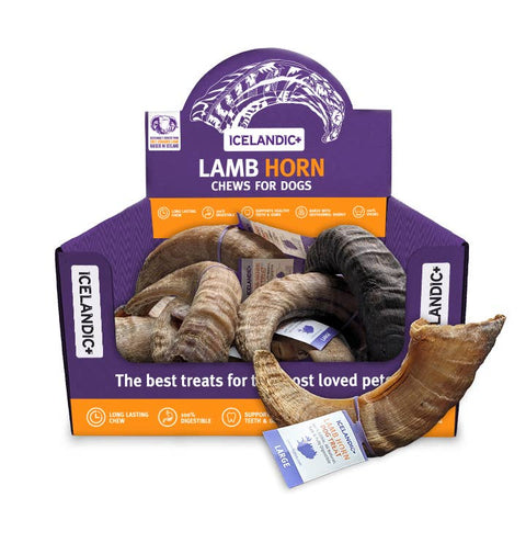Icelandic+ - Icelandic+ Large Lamb Horn Dog Treat 12-Ct Display Box