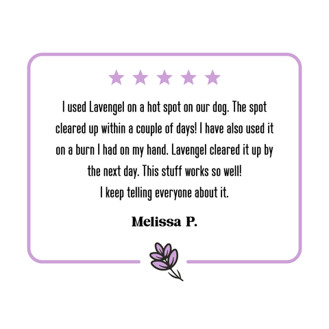 Lavengel - Lavengel - Natural Skin + Wound Care Ointment for Dogs