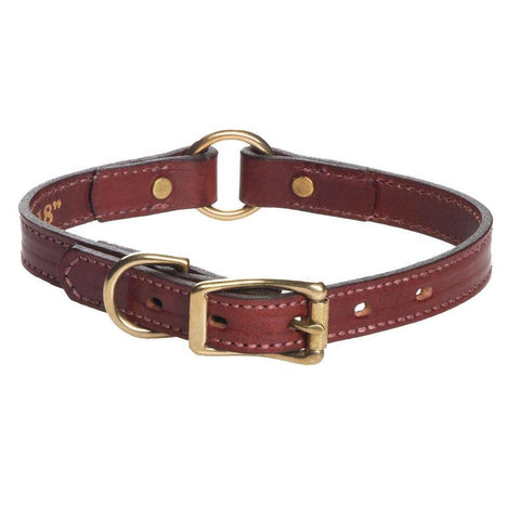 Mendota Pet - Leather Narrow (3/4") Hunt Collar - Chestnut