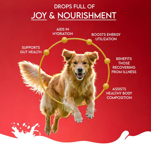 Pawfect Pet Foods Pvt Ltd - USA - Pawfect Nature's Sip Goat Milk Powder with Pomegranate & Cranberries| Easily Digestible| Pre & Probiotics| Healthy Topper| Hydration Support| Milk Replacer for Dogs