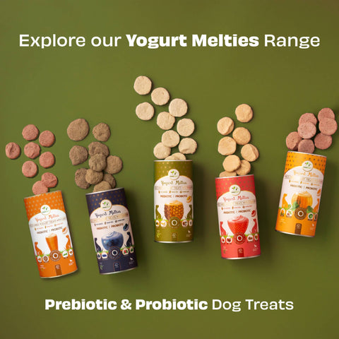 Pawfect Pet Foods Pvt Ltd - USA - Pawfect Yogurt Melties Pre and Probiotic Dog Treats with Pineapple, Coconut, Banana, Dandelion | Healthy Gut l Low Calories | Grain & Gluten Free | Reward or Training Treats (38g/1.34oz)
