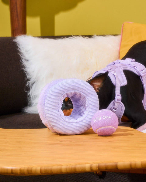 Wild One - Tennis Tuft