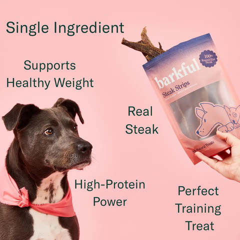 Barkful - Steak Strips Dog Treats (4 oz Bag)- SINGLE INGREDIENT