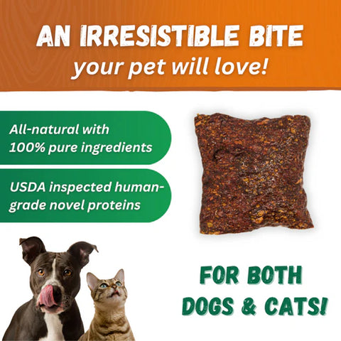 Dr. Becker's Gut/GI Solutions Shaker