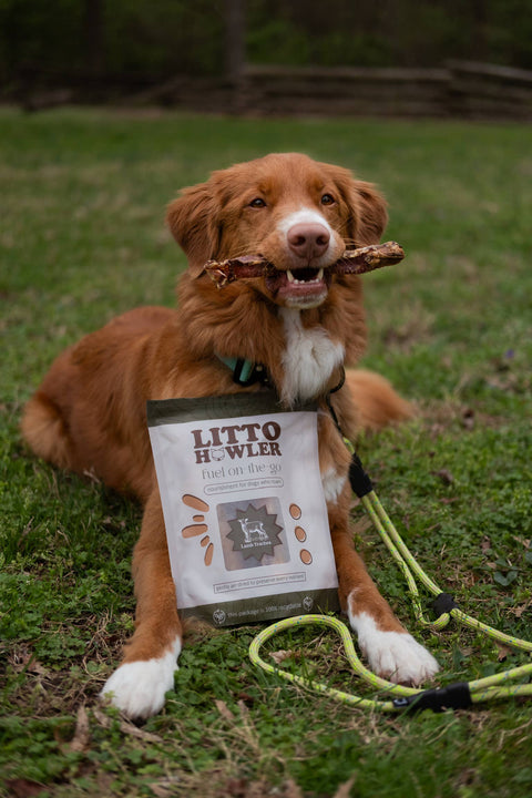 Litto Howler - Lamb Trachea | 4 Count - 5 Inches