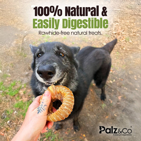 Palz&Co - Moodog Beef Trachea Donut - Pack of 1