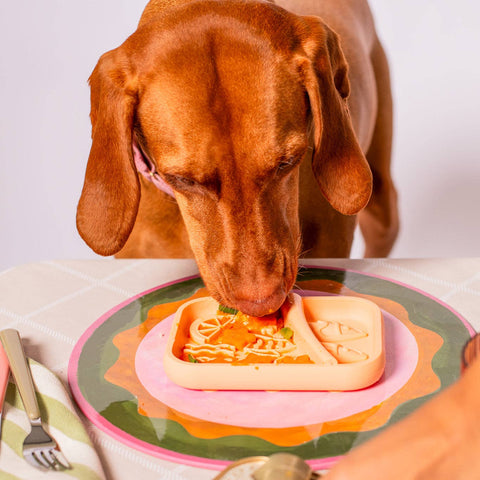 Awoo - Sardina Lick Mat & Slow Feeder