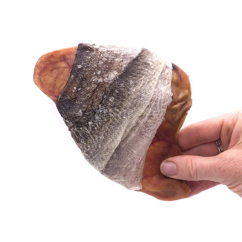 Icelandic+ - Fish Ear Cod Skin Wrapped Pig Ear Dog Treat: Default Title