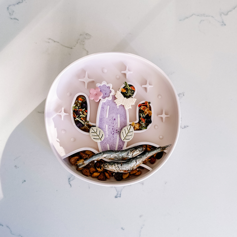 Barks and Brownies - Cactus Silicone Slow Feeder Bowl - Fun, Non-Slip | Sand