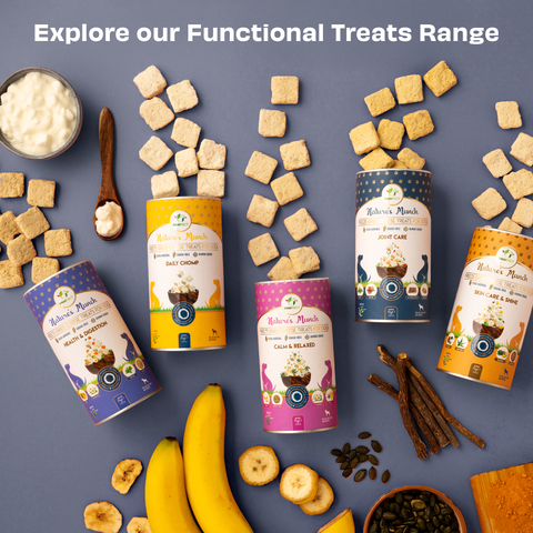 Pawfect Pet Foods Pvt Ltd - USA - Pawfect Nature's Munch Freeze-Dried Joint Care Cheese treats for Dogs| 100% Natural| High Protein, Low Fat| 8 Calories per Treat| Grain-Free| Healthy Training Treat (75g/2.65oz)