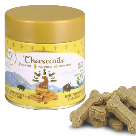 Pawfect Pet Foods Pvt Ltd - USA - Pawfect Cheesecuits | Cheese biscuits for dogs with 75% Cheese & 25% Pineapple, Coconut & Eggs | All-natural training treats | High protein reward treats | Grain-free| Hypoallergenic| (100g/3.53oz)