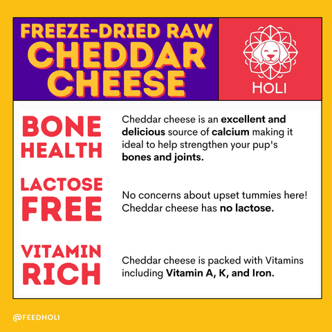 HOLI - HOLI Cheddar Cheese Freeze-Dried Dog Treats