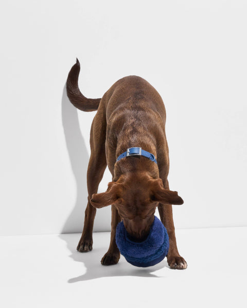 Wild One - Tennis Tuft