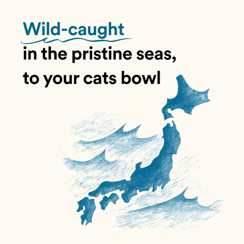 Bonito House - Umami Treats: Bonito Flakes for Cats and Dogs