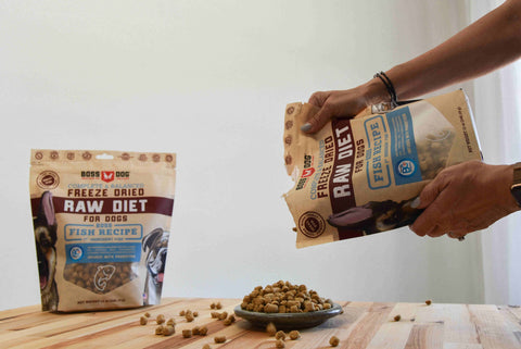 BOSS DOG BRAND, INC. - Boss Dog Freeze Dried Diet - Fish (12oz)