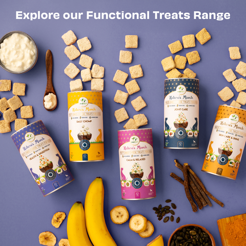 Pawfect Pet Foods Pvt Ltd - USA - Pawfect Nature's Munch Freeze-Dried cheese Functional Dog Treats for Health & Digestion | 100% Natural| High Protein, Low Fat| 8 Calories per Treat| Grain-Free| Healthy Training Treat (75g/2.65oz)