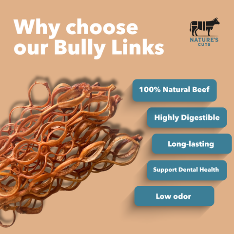 hard chew - Bully Links
