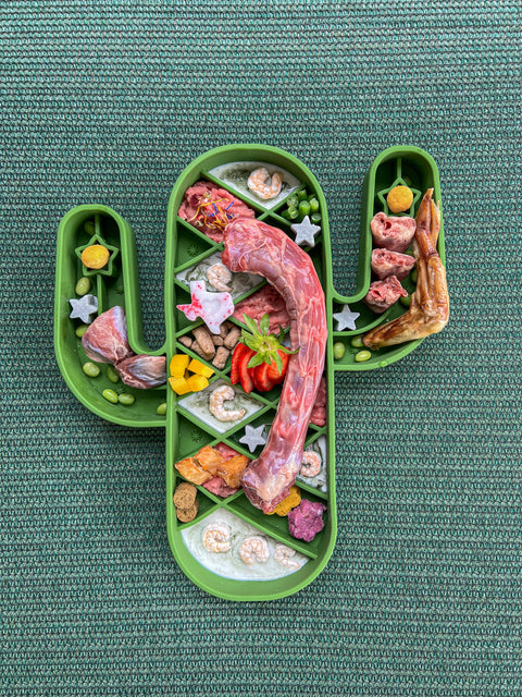 Lonestar Dog Treats - Saguaro Slow Feeder