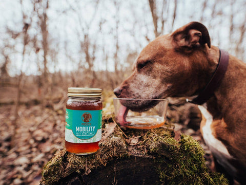 Fido’s - Mobility Bone Broth Liquid
