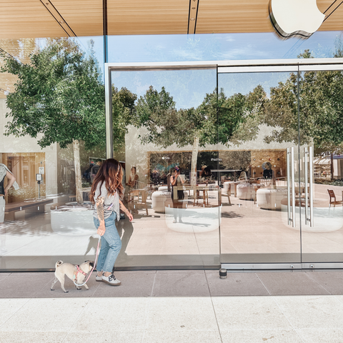 Barks and Brownies - Hands-Free Leash Tea