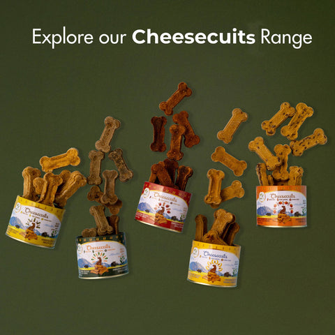 Pawfect Pet Foods Pvt Ltd - USA - Pawfect Cheesecuits | Cheese biscuits for dogs with 80% Cheese & 20% Carrots, Spinach & Eggs | All-natural high-protein dog treats | Grain-free, hypoallergenic & rich in antioxidants| (100g (3.53oz)