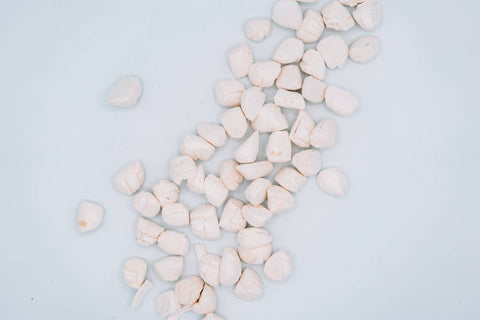 Wild n Fresh Treats - Freeze-Dried Scallops