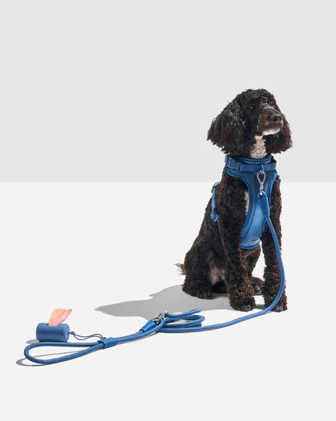 Wild One - Hands-Free Rope Leash