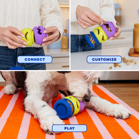 WAGLAB - THE 2-PACK