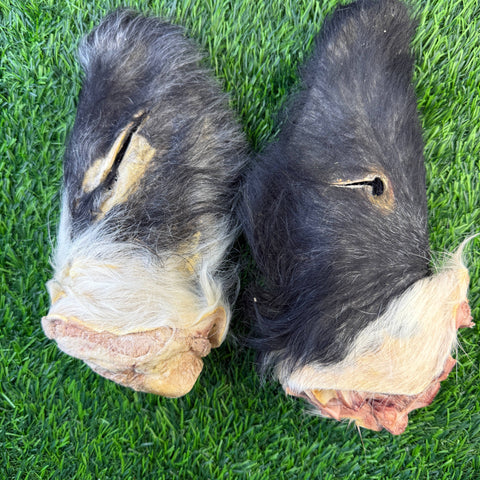 Golden Nibbles - Beef Cow Hairy Ear - Freeze-Dried Treat for Dogs