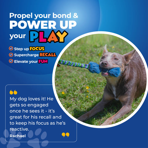 Tug-E-Nuff - Bright Fauxtastic | Tough Dog Toy | Tug-E-Nuff