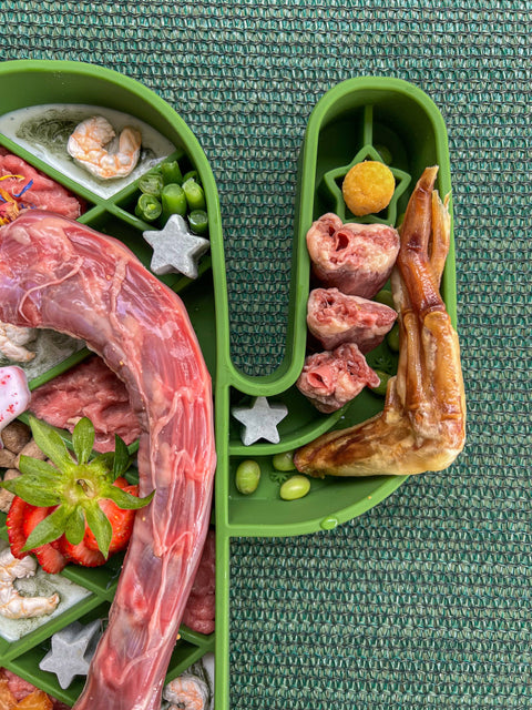 Lonestar Dog Treats - Saguaro Slow Feeder