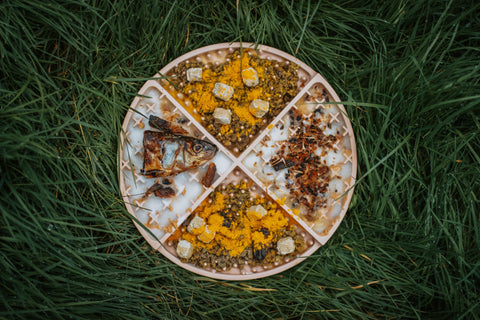 Wild n Fresh Treats - Dehydrated Sardine Chunks (Wild Caught)