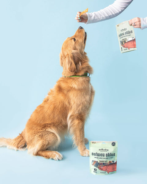 Polkadog - Salmon Skins Smoked Jerky - 3oz - Dog & Cat Treats