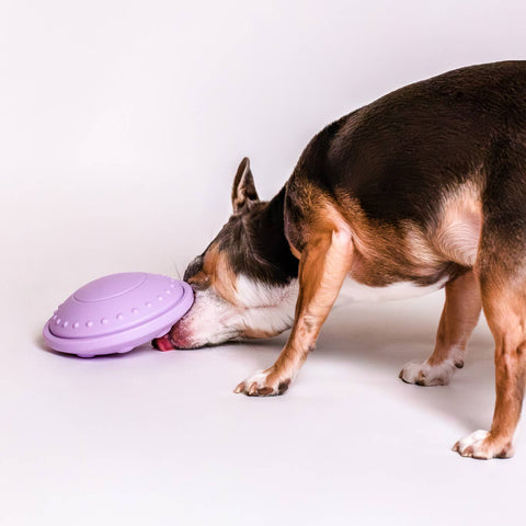 Awoo - Flying Saucer Silicone Puzzle Toy