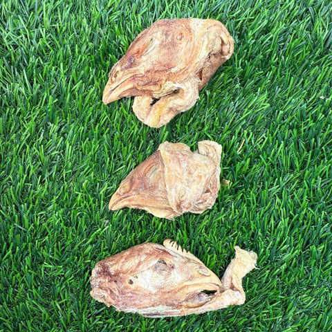 Golden Nibbles - Chicken Head - Bag of 8 - Freeze-Dried Treat for Dogs