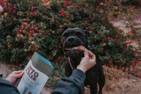 Litto Howler - White Shrimp | 3 oz (12-14 Whole, Head-On White Shrimps)