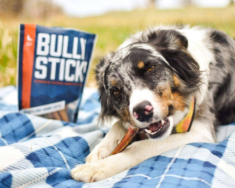 Wild Wolf Bully Sticks - 9-12” Peanut Butter Collagen Cheek Rolls (Case of 25)