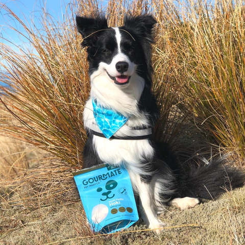 Gourmate Pet Treat Co. - Gourmate Pet Treat Co. South Pacific Hoki | 100% Fish Treat