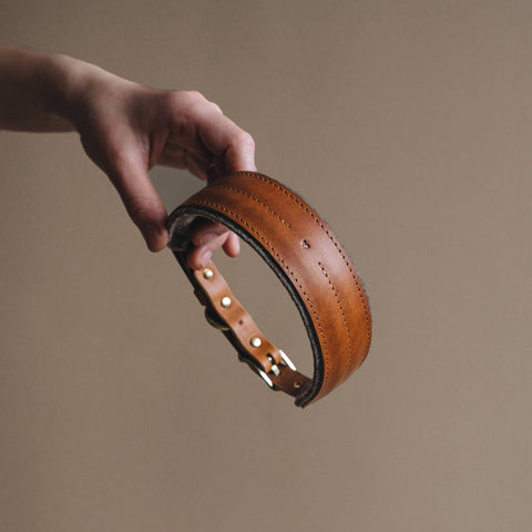 BAND&ROLL - Wool Padded Wide Dog Collar. Pine