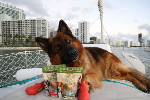 BOSS DOG BRAND, INC. - Boss Dog & Boss Cat Probites W/ Tripe- Beef (3oz)