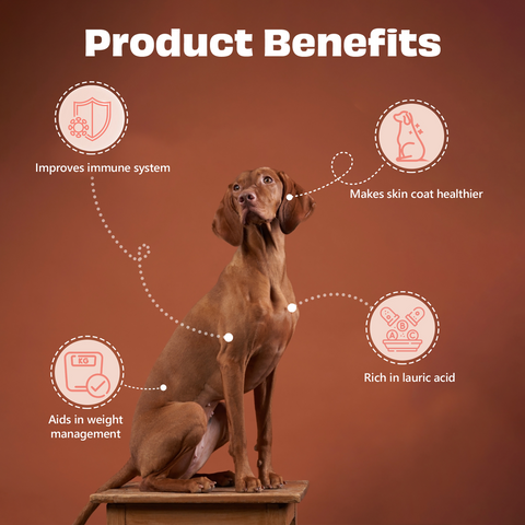 Pawfect Pet Foods Pvt Ltd - USA - Pawfect Nature's Munch Freeze-Dried Coconut Treats for Dogs | Vegan Treat | Immunity Booster | 100% Natural | Grain & Gluten Free | Low Calorie Training Treats (50g/1.76oz)