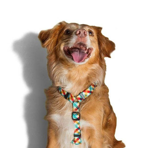 Zee.Dog - Phantom | H-Harness
