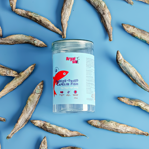Arya Sit! - Freeze-Dried Capelin