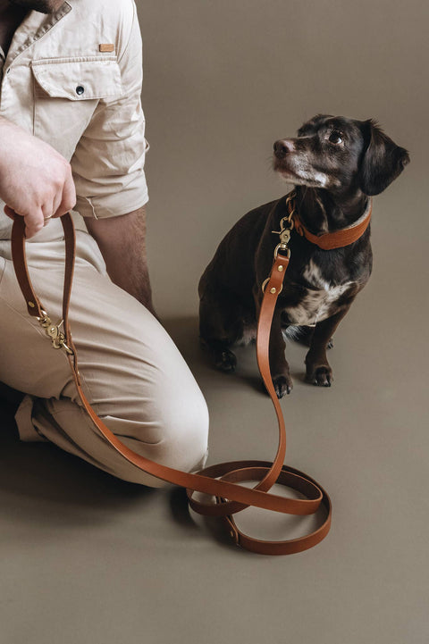 BAND&ROLL - Crossbody Dog Leather Leash. Lasso