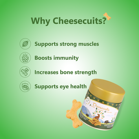 Pawfect Pet Foods Pvt Ltd - USA - Pawfect Cheesecuits | Cheese biscuits for dogs with 80% Cheese & 20% Carrots, Spinach & Eggs | All-natural high-protein dog treats | Grain-free, hypoallergenic & rich in antioxidants| (100g (3.53oz)