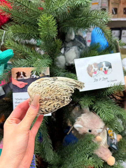 Shanny Farms Freeze-Dried Quail Wings for Pets