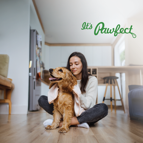 Pawfect Pet Foods Pvt Ltd - USA - Pawfect Cheesecuits | Cheese biscuits for dogs with 80% Cheese & 20% Apple, Eggs and Cinnamon | All-natural training treats | High protein reward treats | Grain-free| Hypoallergenic| (100g/3.53oz)