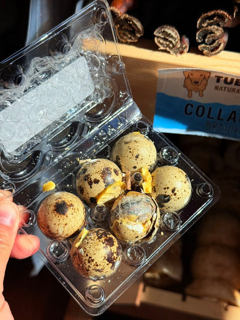 Love Liparu - Balut Quail Eggs
