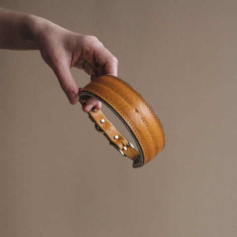 BAND&ROLL - Wool Padded Wide Dog Collar. Pine