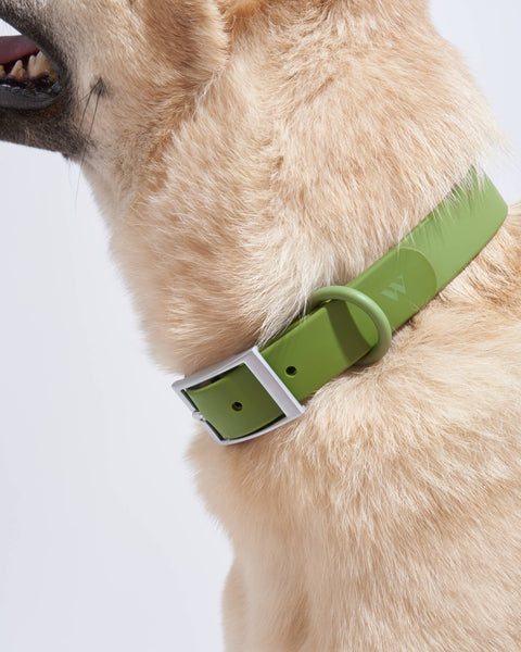 Wild One - Adjustable Waterproof Collar